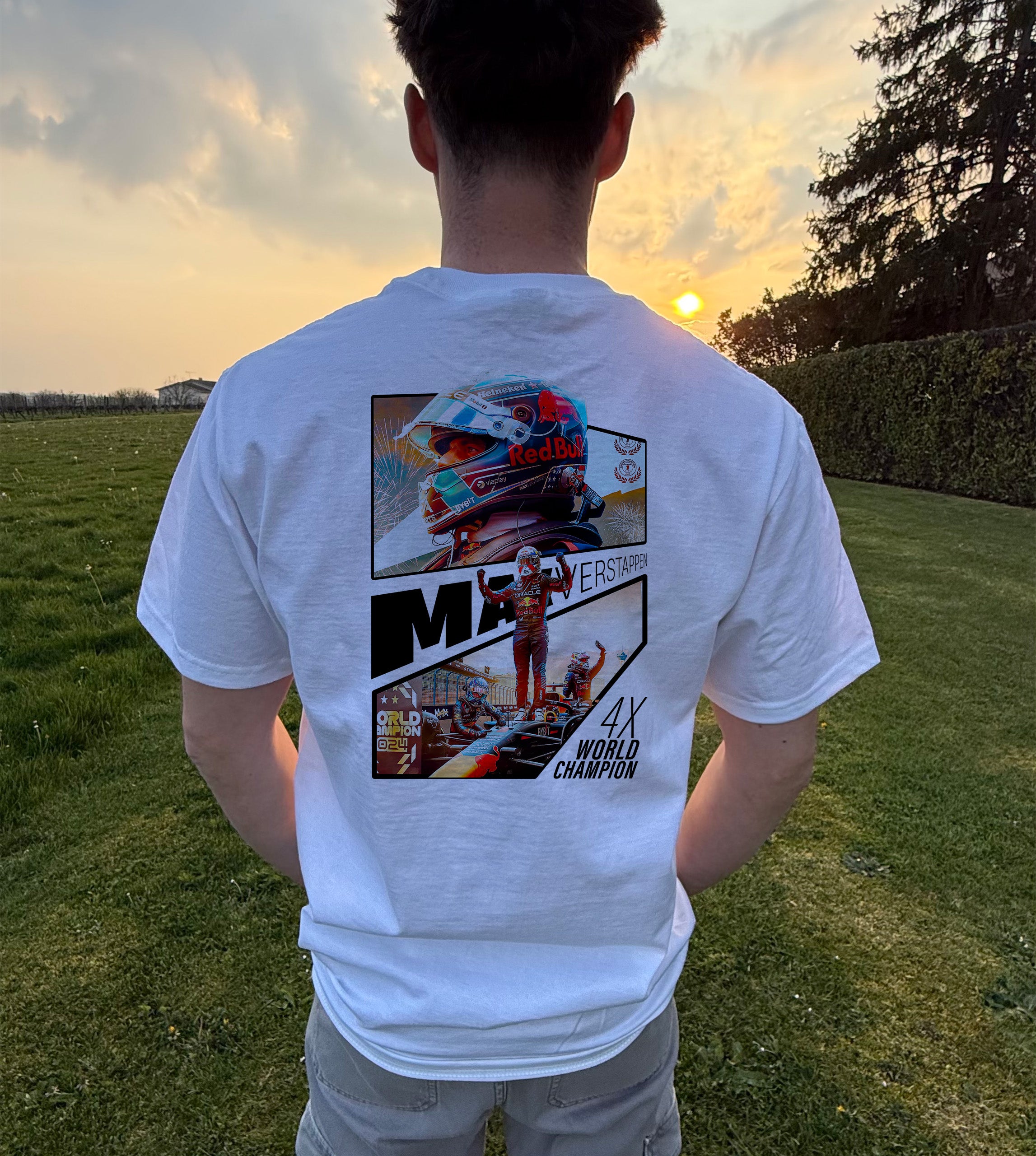Verstappen - 4x World Champion